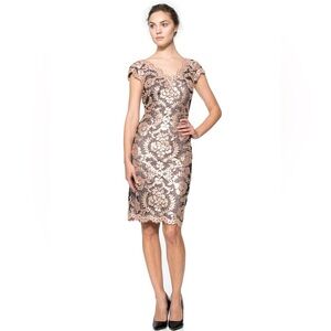 Tadashi Shoji Paillette Embroidered Antique Pink Lace and Sequin Dress Size 4